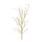 Melrose 2 Piece Set Gold Glitter Artificial Christmas Branches 43"